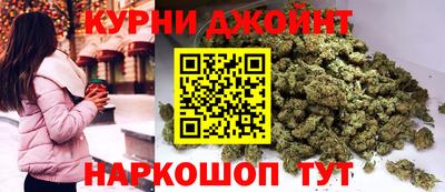 сатива Бузулук