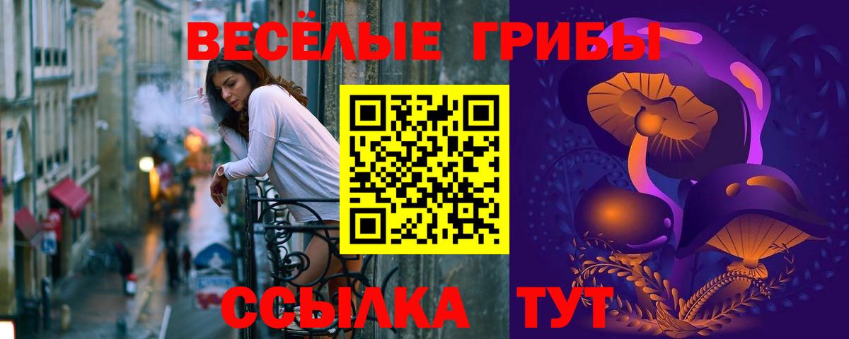 Петровск  Псилоцибиновые грибы Psilocybe  Вход с VPN  Галлюциногенные грибы ЛСД 